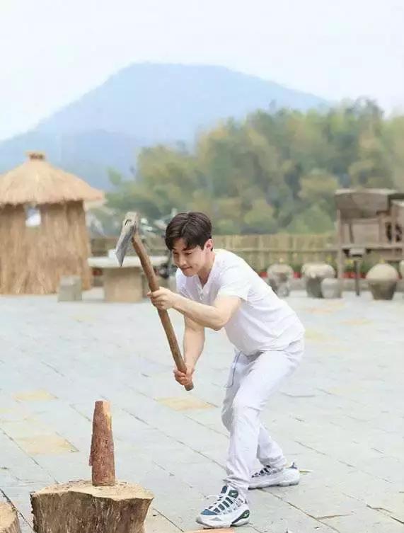 刘宪华退出向往的生活原因,刘宪华为什么退出向往的生活