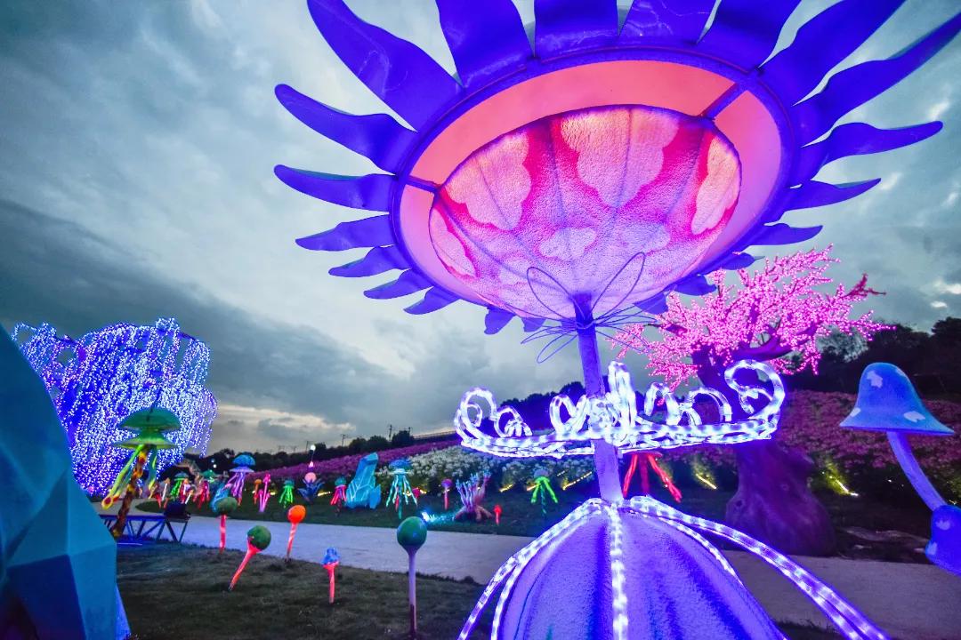 成都三圣乡恐龙主题公园,三圣乡恐龙主题公园地址