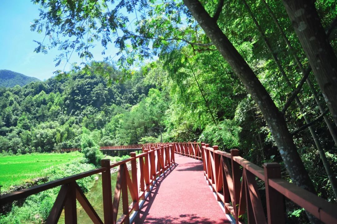 浙江杭州民宿3天二晚,浙江浦江登高村春社民宿