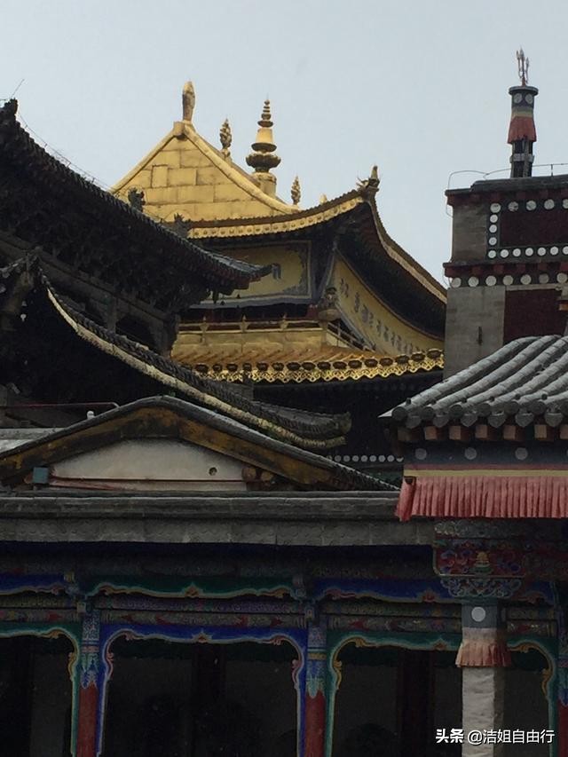 青海湖大环线7天自驾游攻略,6月青海大环线旅游攻略