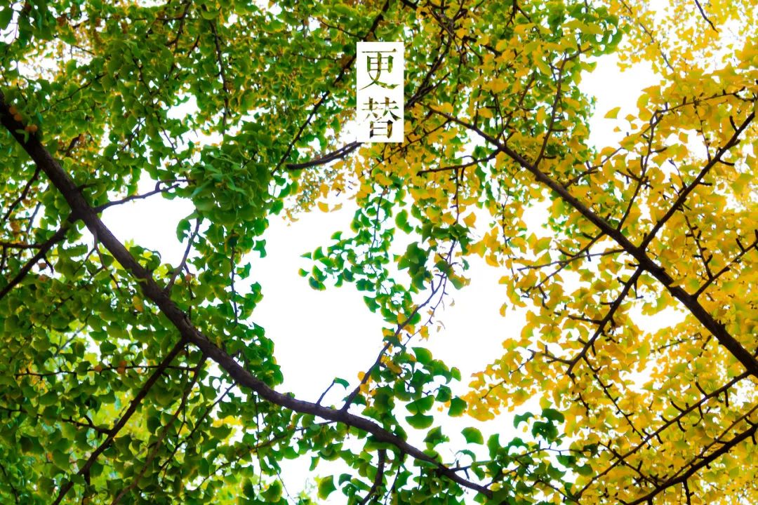 想去大连了,还有人想去大连吗