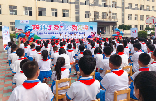 小海豚公益活动策划方案,小海豚计划直播