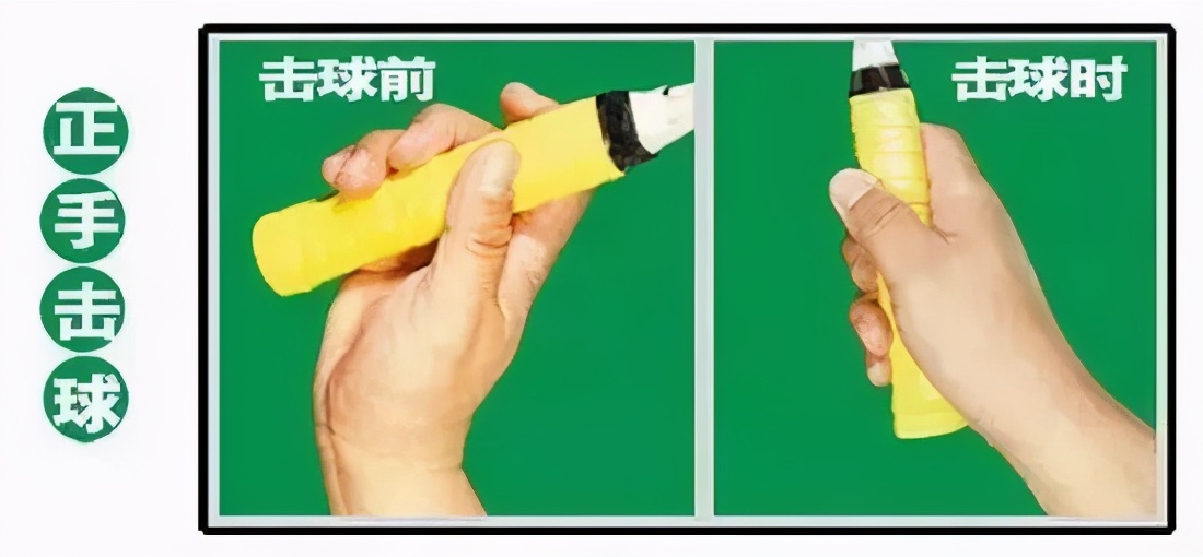 金秋诗画（学羽精华33.发力技巧）