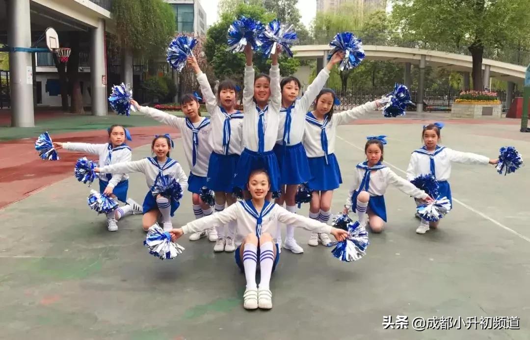 武侯区TOP1，最低调的一朵“金花”，家族成员大起底