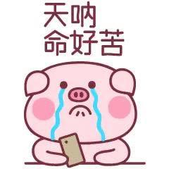 低价出售库存冻品,储备肉开售一斤便宜七八块