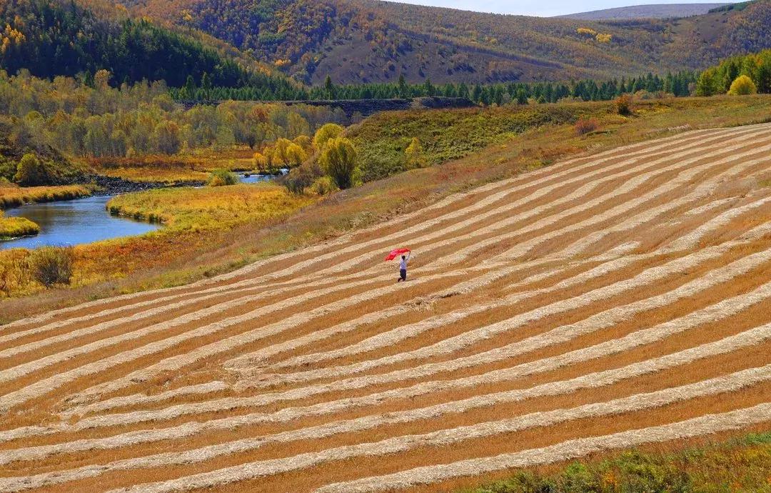 兴安盟的红色文化,文博灯光艺术节