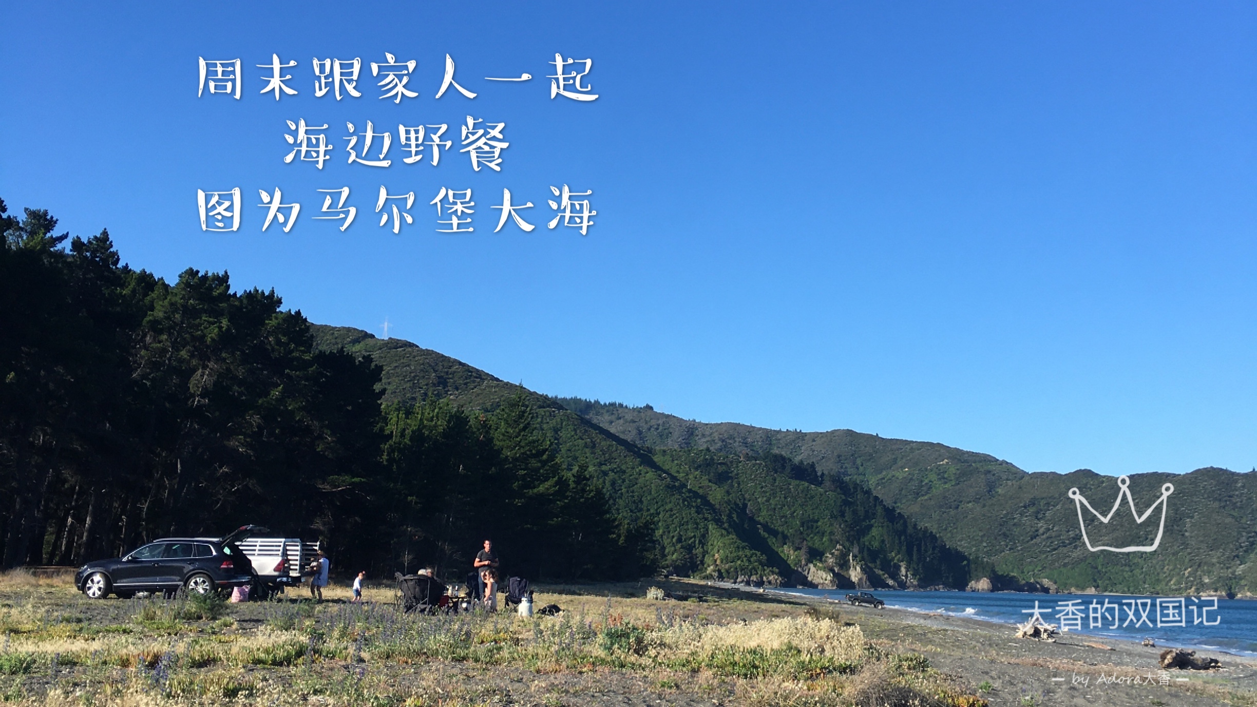 新西兰眼中的中国人,新西兰人看待中国学生