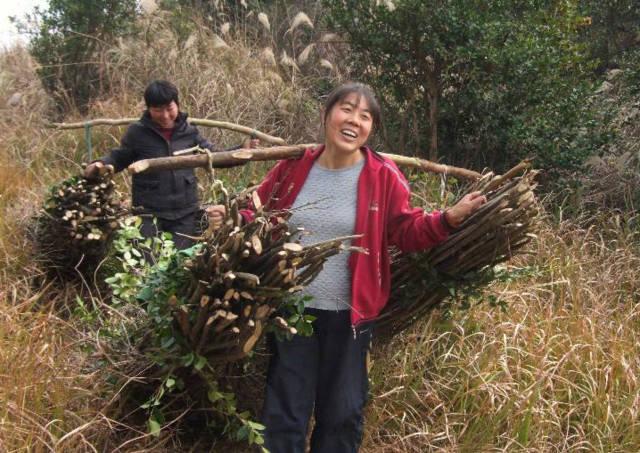 乡土实录|我可怜的毛妹呀