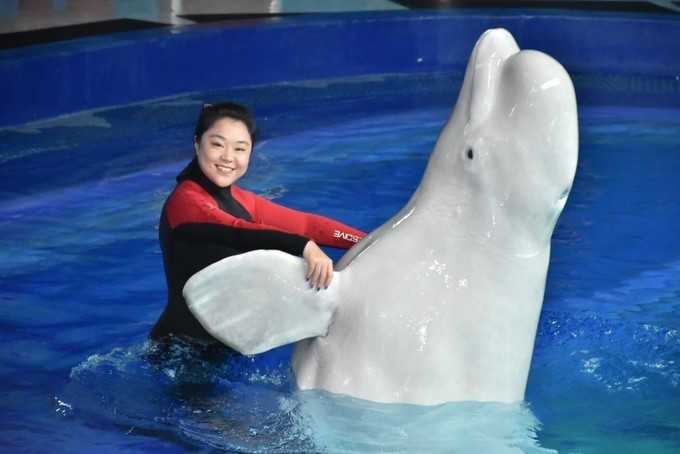 三亚自由行五天最佳攻略,三亚北纬十八度游攻略