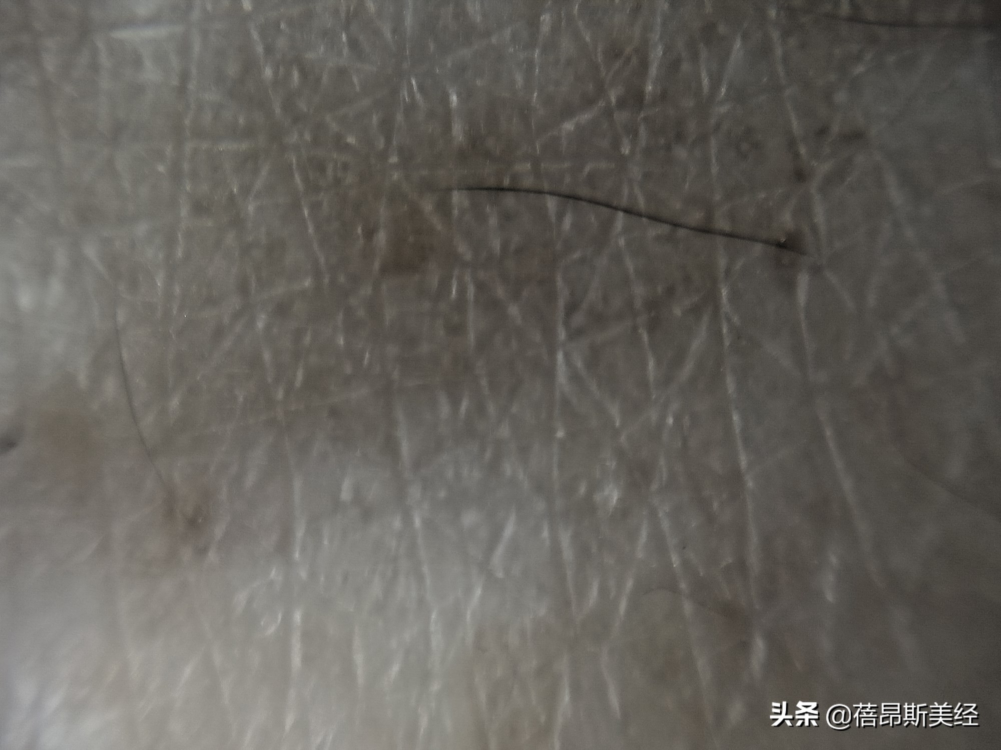 补水保湿神仙水哪个好用,神仙水哪款最适合敏感肌肤