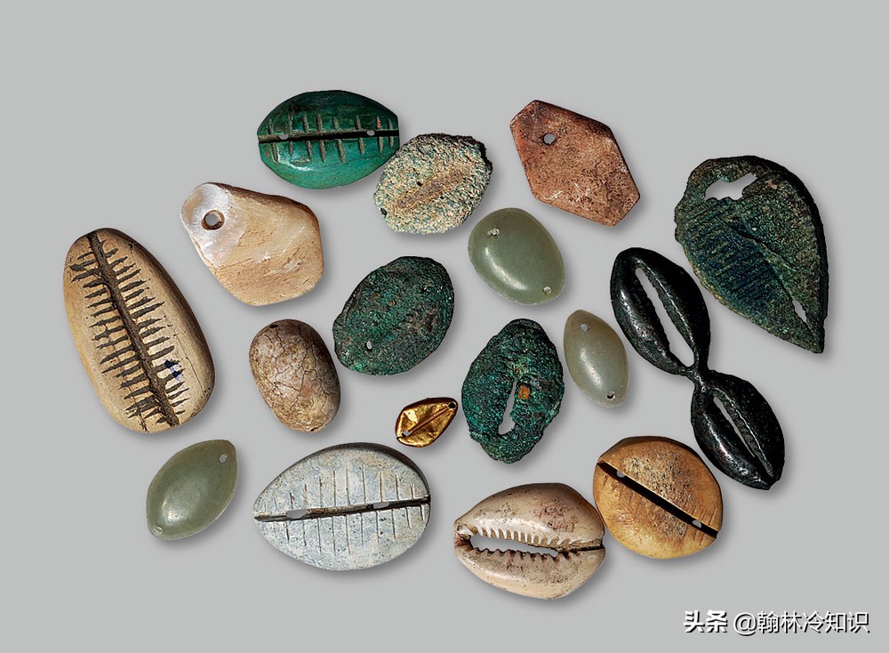 海边捡的贝壳能值多少钱,海边贝壳值钱吗