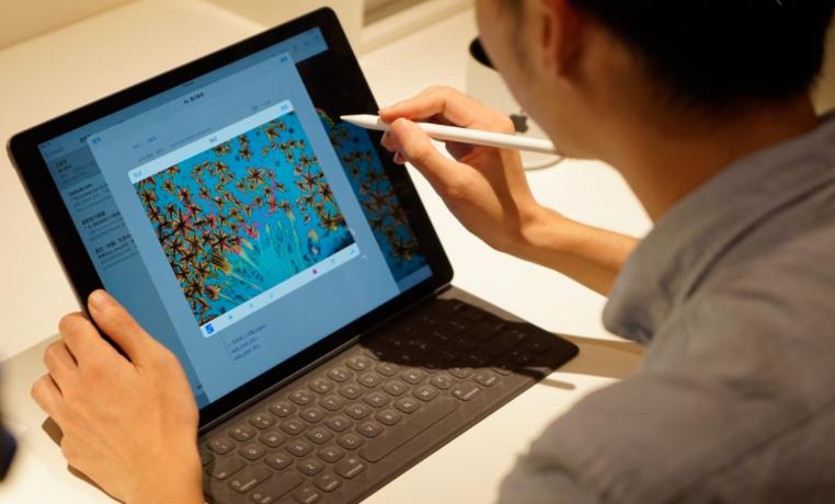 大学生是否支持自主创业,大学可以申请自主创业吗