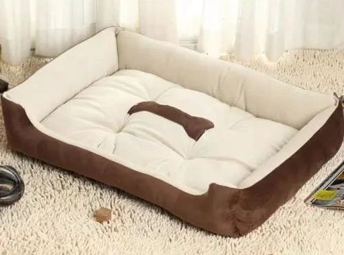 新到家猫咪需要做什么体检,猫咪到家第一夜铲屎官怎么做