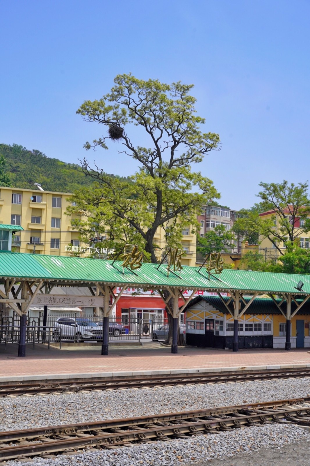 遇上浓浓的大连海蛎子味,青岛海蛎子旅游攻略