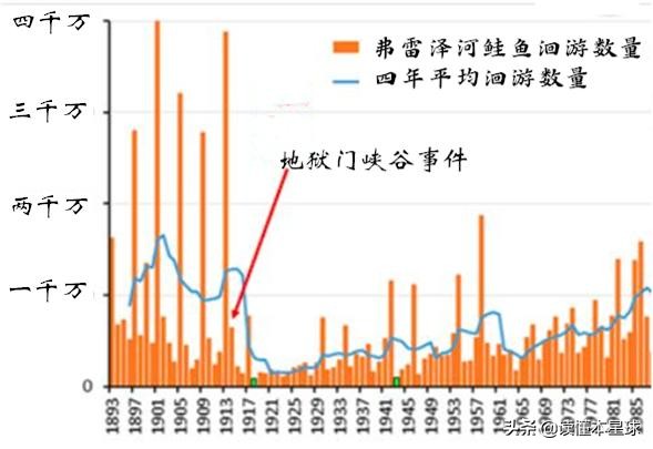 被人类吃到濒临灭绝的生物,被人类吃灭绝的凶猛的鱼