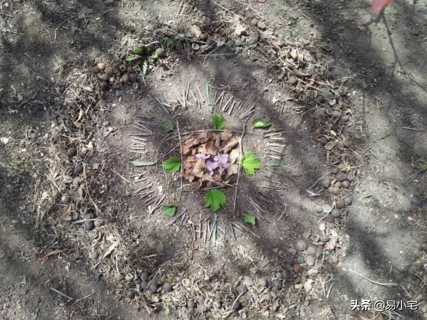阿土|荒野生活/从城市白领到山中野人