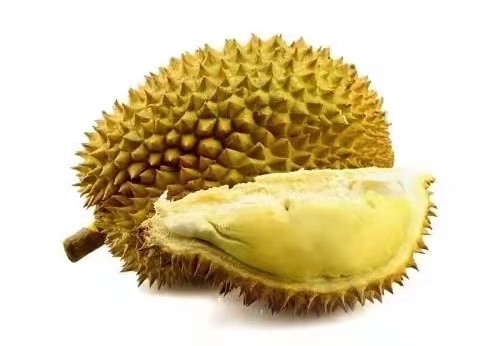热带水果榴莲,热带水果之王是什么