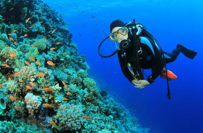 普吉巴厘塞班岛,普吉岛一个充满异域风情的海岛