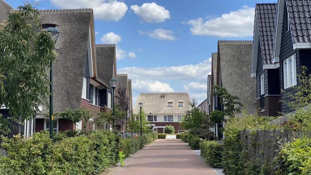 如此普通却又如此自信出处,荷兰依赖中国的稀土吗