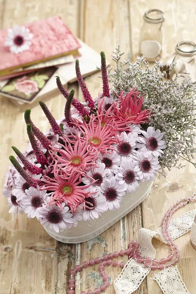 冬季切花菊,银叶菊鲜切花搭配