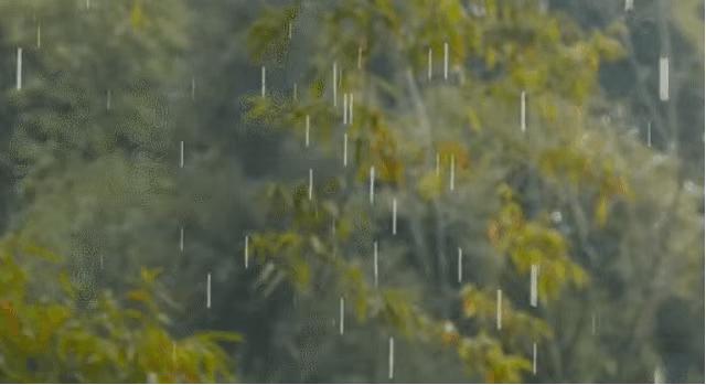 马家岩紫色花树,马家岩宜居