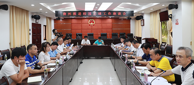 儋州排球交流会,儋州市组织工作会议