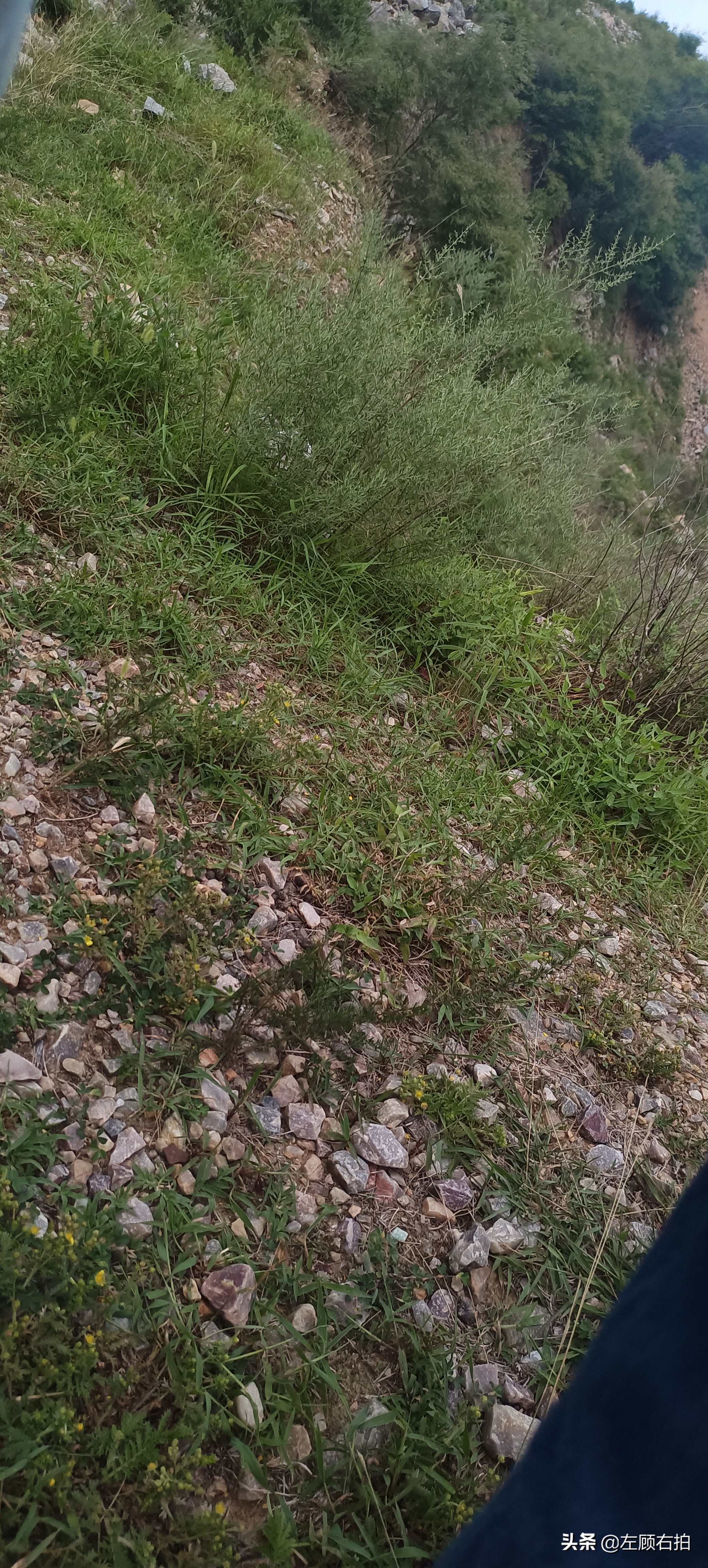 嵩山九龙潭小环线攻略,登封嵩山大峡谷自驾游攻略