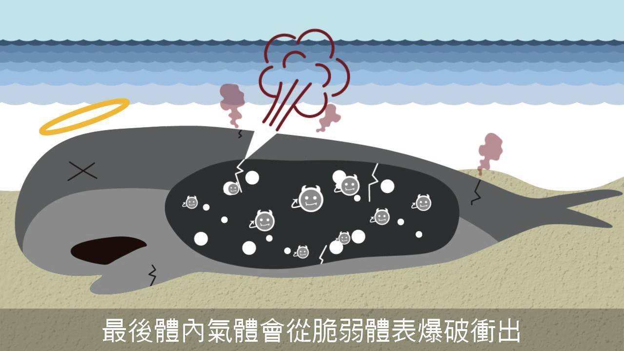 为什么在沙漠里要小心骆驼的尸体,为什么在沙漠里见到死骆驼不能碰