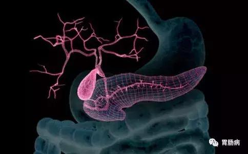 一般什么病会误诊为胃病,什么病容易误诊为胃病