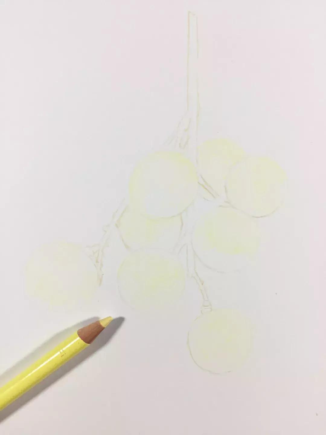 彩铅龙眼,龙眼怎么画彩铅