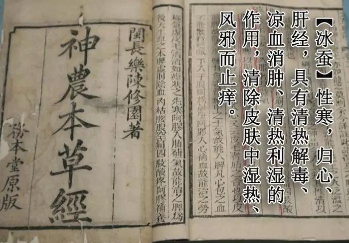 湿疹性皮炎最简单的自愈方法,全身都痒皮炎湿疹最好的治疗方法