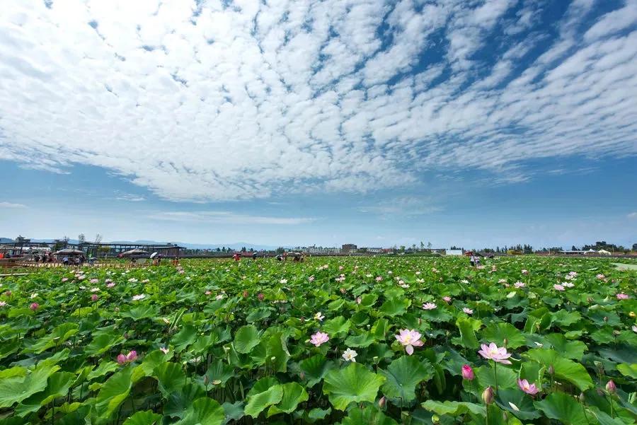等一个人陪我去湛江,等一个人陪我去旅游
