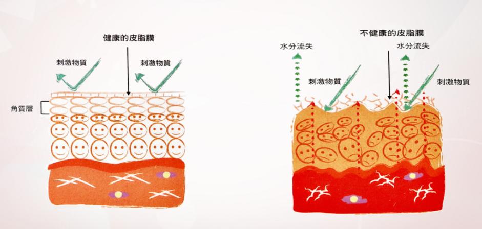 小玛直播公益课,小玛公益课堂