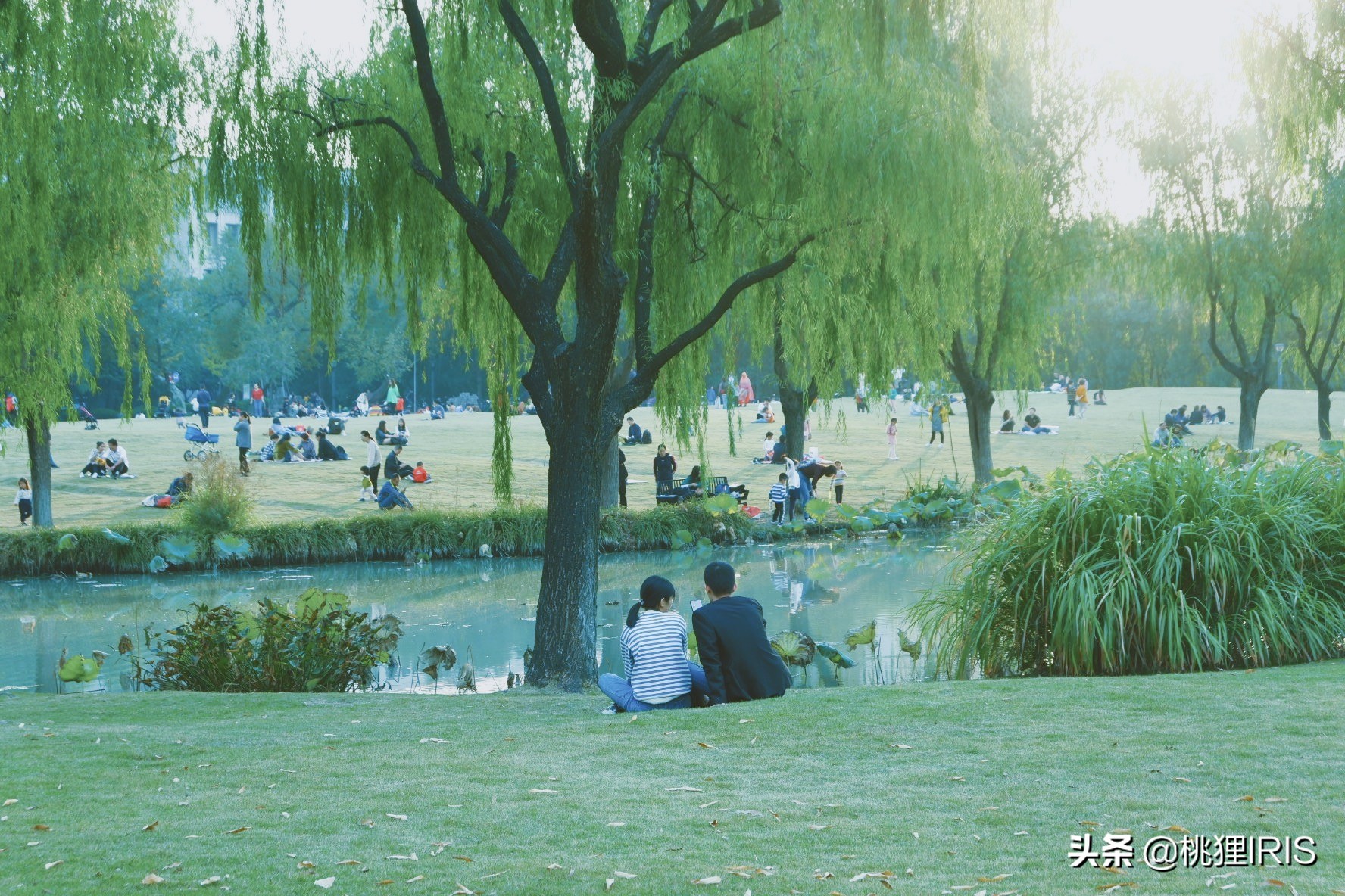 浙江大学钱塘江校区,看浙大钱塘江之江校区视频