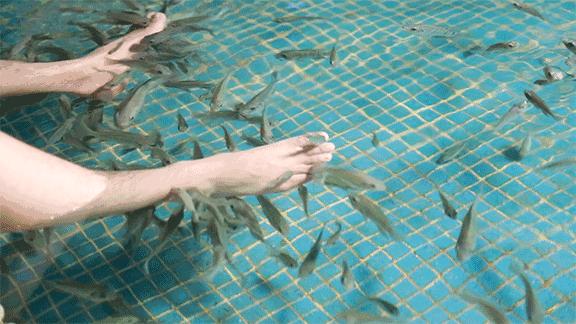 青岛松乐汀温泉生活馆能过夜吗,青岛崂山松乐汀温泉生活馆