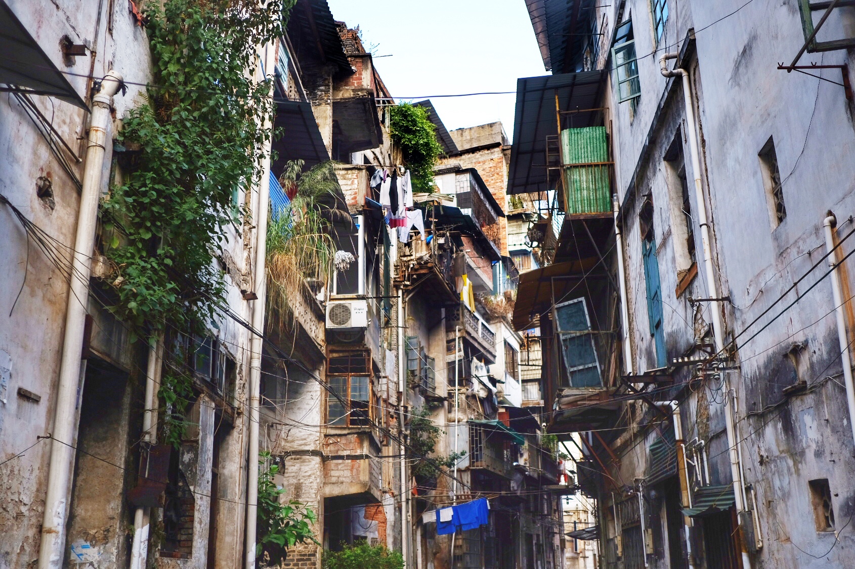 梧州市游玩美食攻略,梧州美食打卡探店