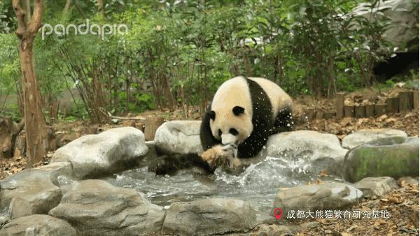 因为你们，“爱豆”的世界离我们不再远咯