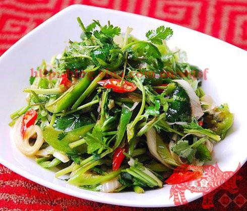 20道家常凉拌菜的做法大全,解油解腻超好吃,做法简单快手