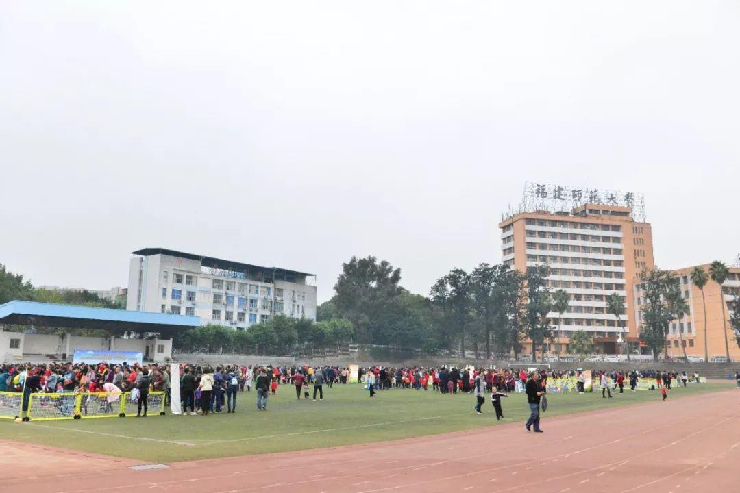 派迪茵体育,派迪茵体育教练团队