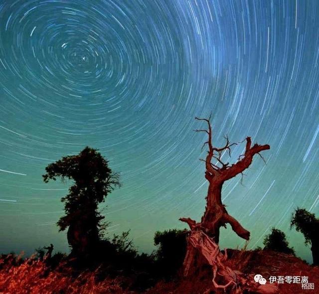 乐舞纵横,饕餮盛宴,哈密夜游正当时