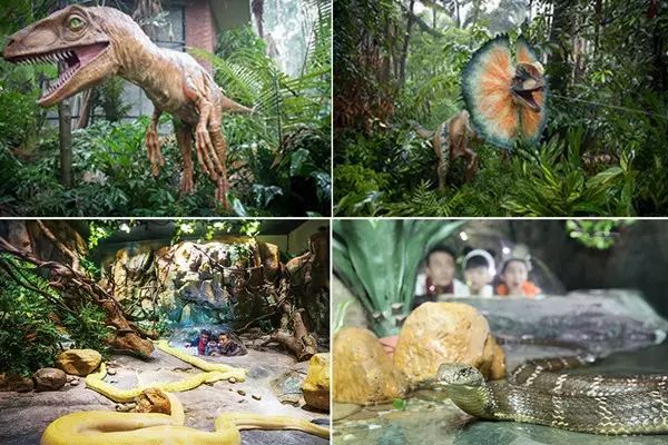 广州长隆野生动物世界附近的酒店,广州长隆酒店福利待遇