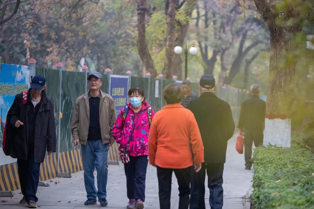 莲湖区晚上哪里可以散步,莲湖晨练