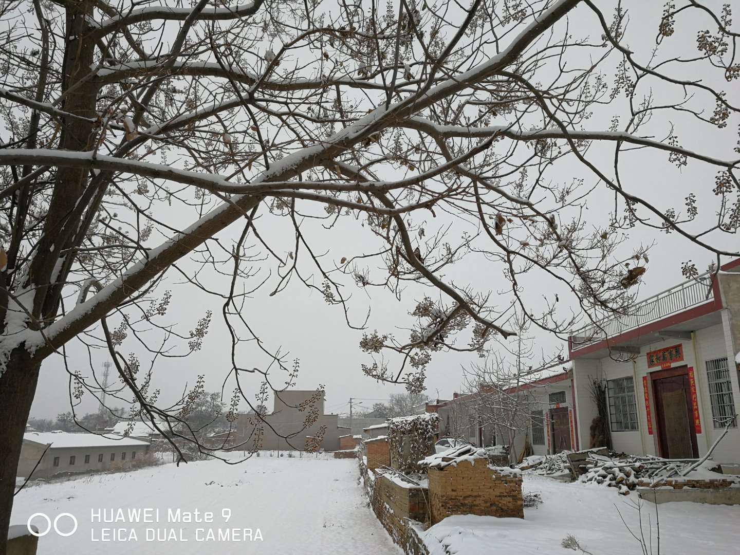 三农乡村振兴陕西,富平乡村振兴