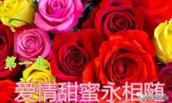 把最美的祝福送给情人节的你,5月21日情人节祝福语