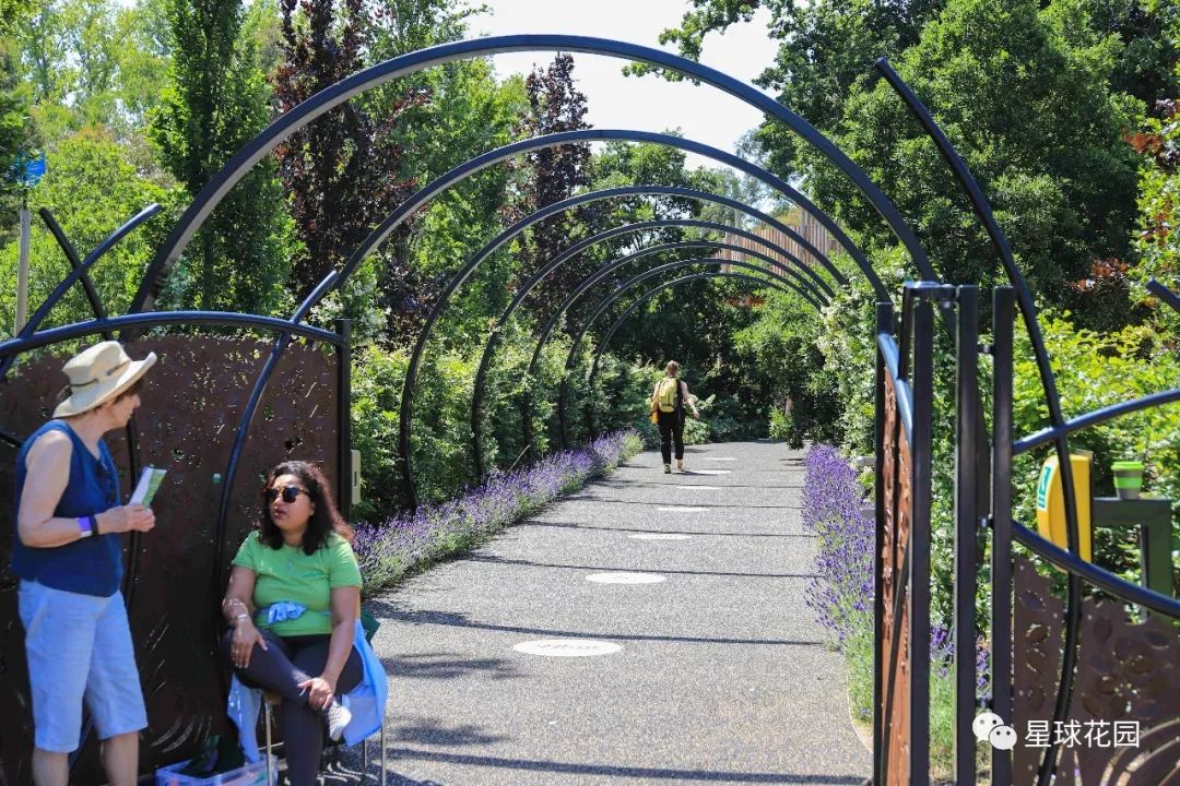 二木带你游花园|邱园（kewgarden）离我们到底有多远？