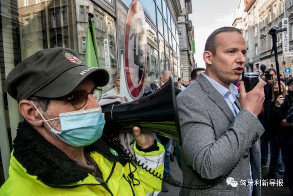 匈牙利球迷打架,球迷打架致死事件