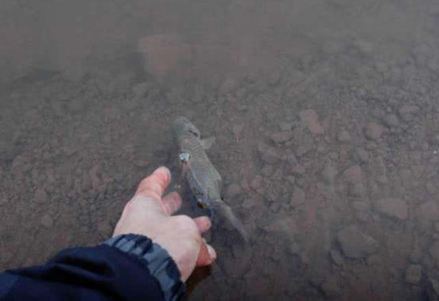 春钓应该注意什么,春钓用蚯蚓好吗