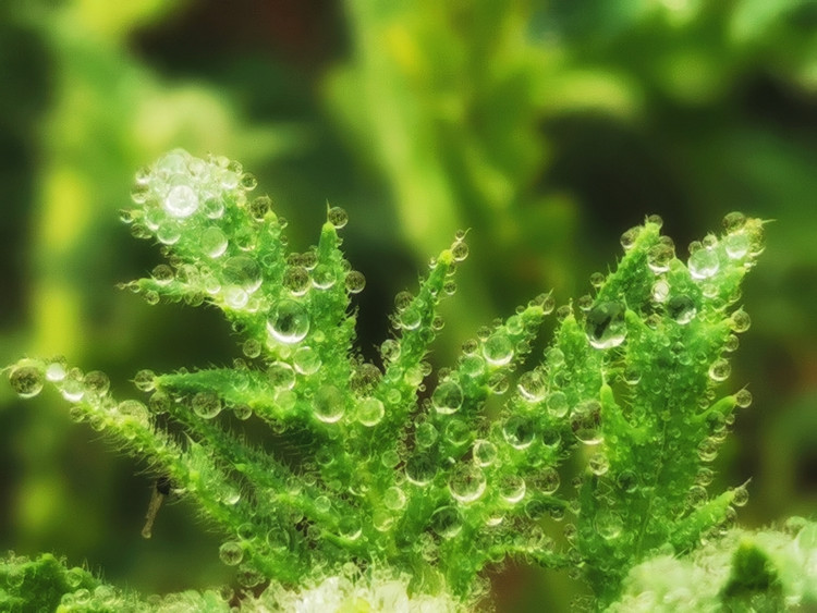 茅山宝盛园周边游玩,茅山宝盛园所有游乐设施