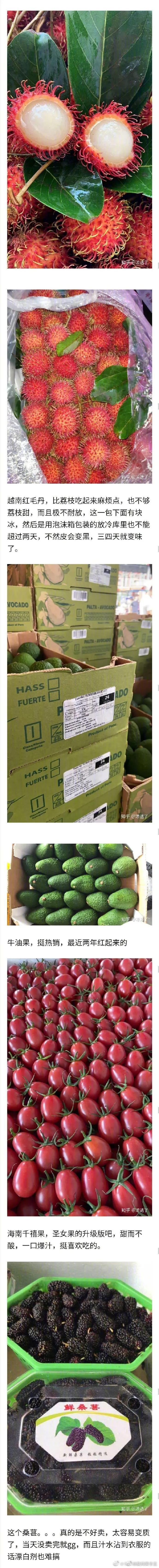 高端水果有哪些,最顶级的水果有哪几种