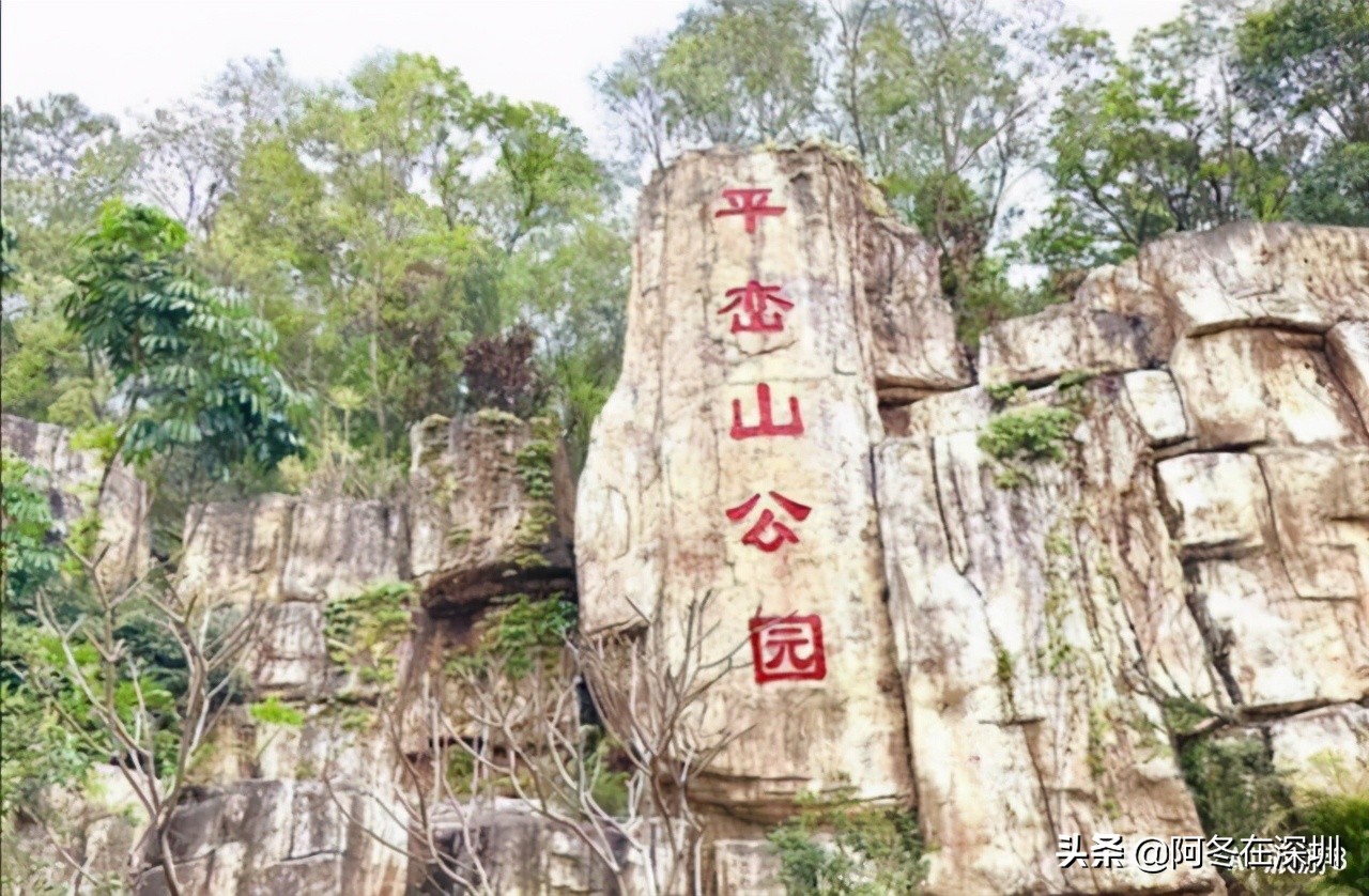 深圳大鹏自驾游十大免费景点推荐,深圳一日游必去的十个免费景点